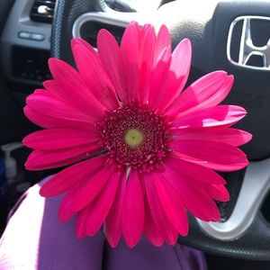 Meet your Posher, Lexi